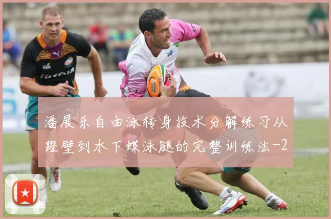 潘展乐自由泳转身技术分解练习从蹬壁到水下蝶泳腿的完整训练法