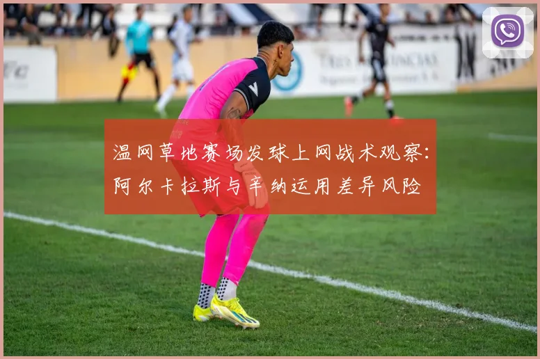 温网草地赛场发球上网战术观察：阿尔卡拉斯与辛纳运用差异风险
