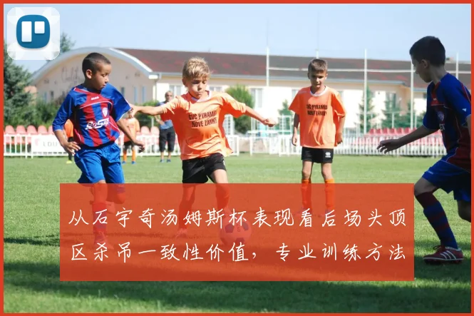 从石宇奇汤姆斯杯表现看后场头顶区杀吊一致性价值，专业训练方法全解析