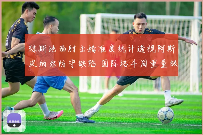 琼斯地面肘击精准度统计透视阿斯皮纳尔防守缺陷 国际格斗周重量级统一战解析