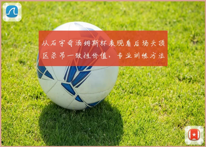 从石宇奇汤姆斯杯表现看后场头顶区杀吊一致性价值,专业训练方法全解析