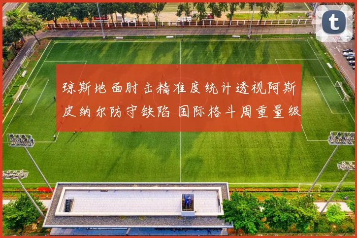 琼斯地面肘击精准度统计透视阿斯皮纳尔防守缺陷 国际格斗周重量级统一战解析