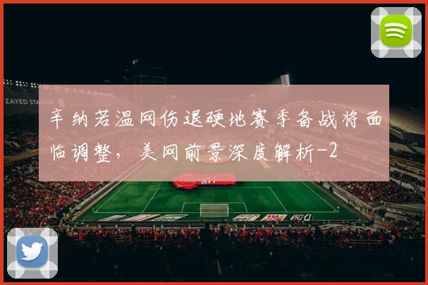 辛纳若温网伤退硬地赛季备战将面临调整，美网前景深度解析